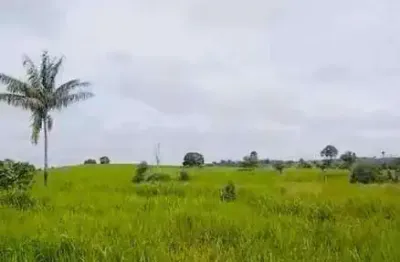 Fazenda à venda, area rural de maraba - pa - marabá/pa