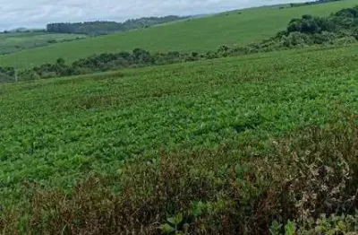 Chácara / sítio à venda na Zona Rural, Zona Rural, Ibiá