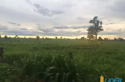 Fazenda à venda, area rural de flores de goias - go - flores de goiás/go