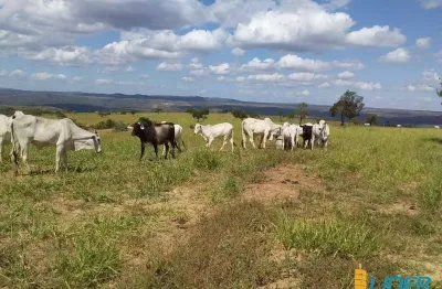 Fazenda à venda, area rural de sao gonçalo do abaete - mg - sao goncalo do abaete/mg