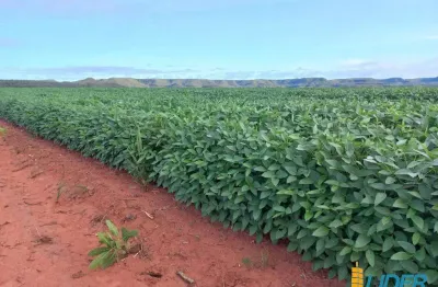 Fazenda à venda, area rural de balsas - ma - balsas/ma