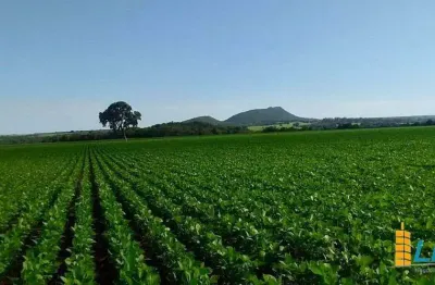 Fazenda à venda, área rural de ipameri - ipameri/go