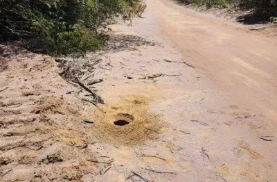 Fazenda à venda, area rural de bom jesus-pi - bom jesus/pi
