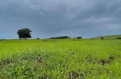 Fazenda à venda, área rural de uberlândia - uberlândia/mg