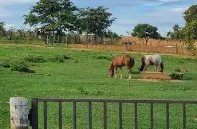 Fazenda à venda, area rural de bonfinopolis - mg - bonfinópolis de minas/mg