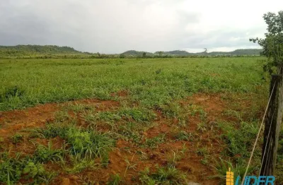 Fazenda à venda, area rural de peixoto de azevedo - mt - peixoto de azevedo/mt