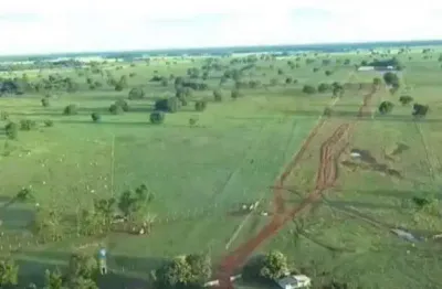 Fazenda à venda, area rural de sao felix do araguaia - mt - são félix do araguaia/mt