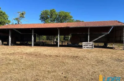 Fazenda à venda, area rural cocalinho - mt - cocalinho/mt