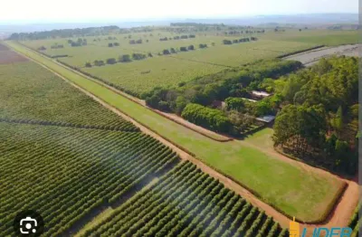 Fazenda à venda, area rural de são gotardo - mg - sao gotardo/mg