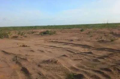 Fazenda à venda, area rural de alvorada do gurguéia - pi - alvorada do gurguéia/pi