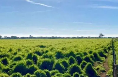 Fazenda à venda, area rural de paracatu - paracatu/mg