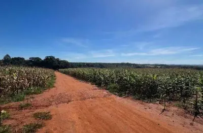 Fazenda à venda, área rural de uberlândia - uberlândia/mg
