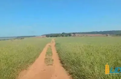 Excelente fazenda dupla aptidão com 411,40 hectares à venda próxima a uberlândia/mg