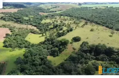 Excelente fazenda dupla aptidão com 125 hectares à venda no município de araguari - mg