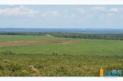 Excepcional fazenda dupla aptidão com 8.000 hectares e muito bem estruturada à venda em balsas/ma