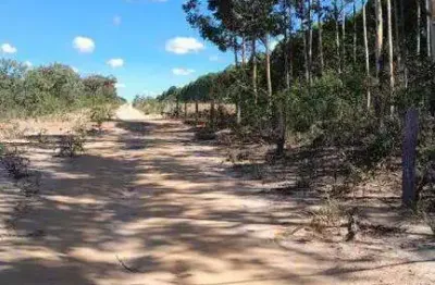 Excelente fazenda dupla aptidão com 20.000 hectares à venda em são desidério - ba