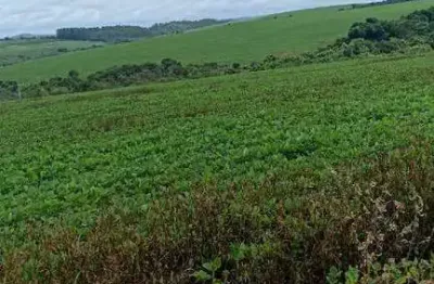 Excelente fazenda com 384 hectares à venda em ibiá - mg