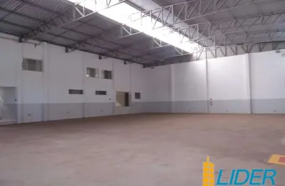 Casa para alugar na Avenida Antônio Tomaz Ferreira De Rezende, Nossa Senhora das Graças, Uberlândia