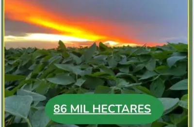 Espetacular fazenda dupla aptidão com 86.627 hectares e muito bem estruturada à venda no nordeste do estado de mato grosso