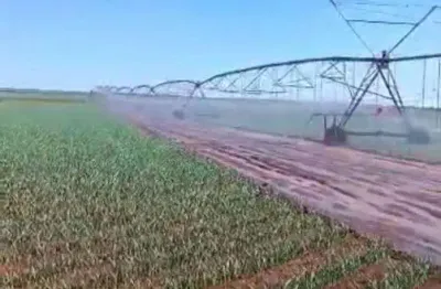 Excepcional fazenda dupla aptidão com 1053 hectares e muito bem estruturada à venda em arinos - mg