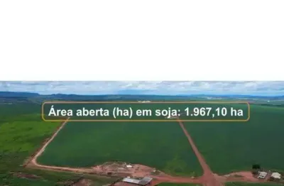 Fantástica fazenda dupla aptidão com 2.249 hectares e muito bem estruturada à venda em doverlândia - go