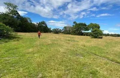 Excelente fazenda dupla aptidão com 3.300 hectares e boas estruturas à venda em santarém - pa