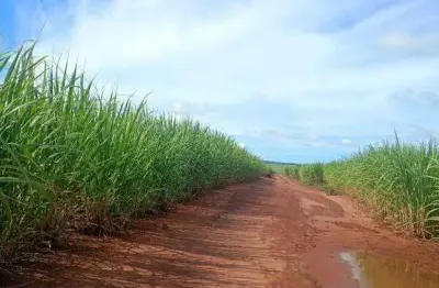 Excelente fazenda dupla aptidão com 493,26 hectares à venda em frutal - mg