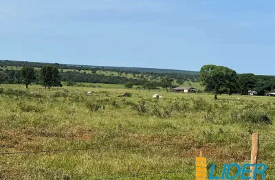 Excelente fazenda dupla aptidão com 396,88 hectares e bem estruturada à venda em uberlândia - mg