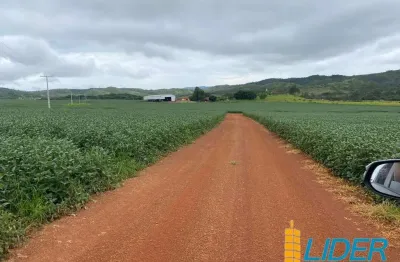 Excepcional fazenda dupla aptidão com 1.500 hectares e muito bem estruturada à venda em agua fria - go