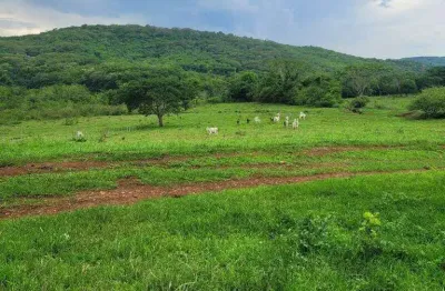 Excelente fazenda com 48,40 hectares, toda formada em pastos à venda em araguari - mg