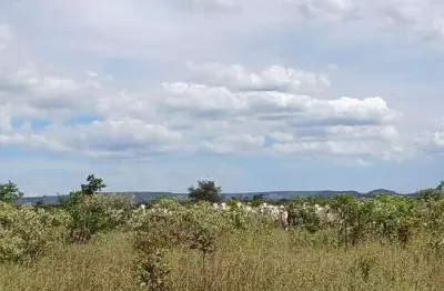 Excelente fazenda dupla aptidão com 4.583 hectares à venda em mambaí - go
