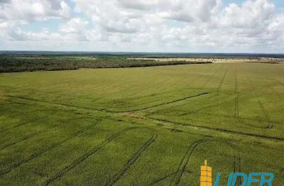 Fantástica fazenda dupla aptidão com 10.640 hectares e uma super estrutura à venda no vale do araguaia em araguacema - to