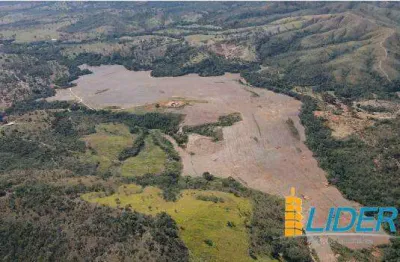 Excelente fazenda dupla aptidão com 202,00 hectares à venda em vazante - mg