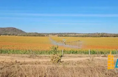 Excelente fazenda dupla aptidão com 517 hectares e ótimas estruturas à venda em paracatu - mg