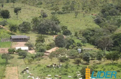 Excelente fazenda para criação de gado com 641 hectares à venda em niquelândia - go