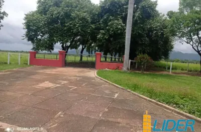 Excepcional fazenda dupla aptidão com 5.178 hectares, super estruturada à venda 'porteira fechada' em formosa - go