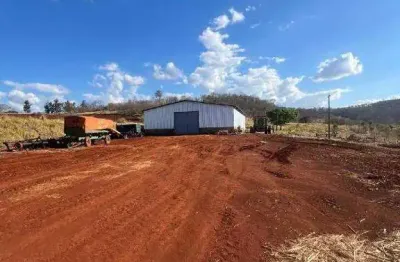 Excepcional fazenda dupla aptidão com 290 hectares à venda no distrito de martinésia (uberlândia) - mg