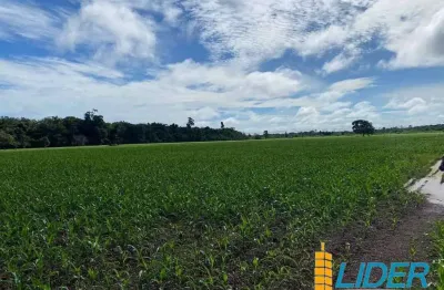 Fazenda à venda, area rural de aurora do para-pa - aurora do pará/pa