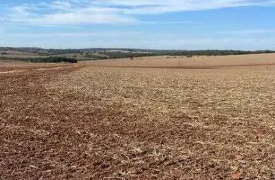 Excelente fazenda de produção agrícola com 657 hectares à venda na região entre ipameri e cristalina - go