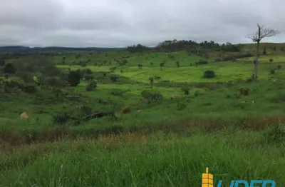 Excelente fazenda dupla aptidão com 1.195,48 hectares e boas estruturas à venda em floresta do araguaia - pa