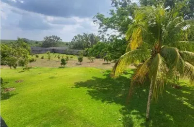 Excelente fazenda dupla aptidão com 750 hectares e boas estruturas à venda em santa rita - ma