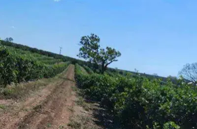 Excepcional fazenda de laranja com 122 hectares e ótimas estruturas à venda em são josé do rio preto - sp