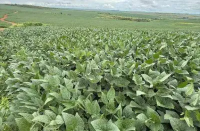 Excepcional fazenda dupla aptidão com 1.617 hectares e muito bem estruturada à venda em cristalina - go