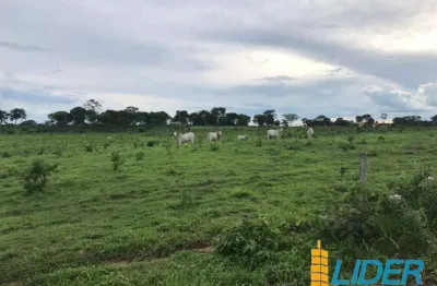 Excelente fazenda dupla aptidão com 170 hectares à venda em uberlândia, sentido uberaba - mg
