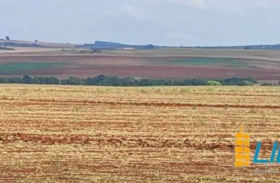 Excepcional fazenda com 872 hectares e alto índice de produtividade à venda em cabeceiras - go