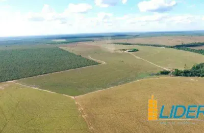 Excepcional fazenda dupla aptidão com 17.000 hectares à venda na região norte do matopiba tocantins