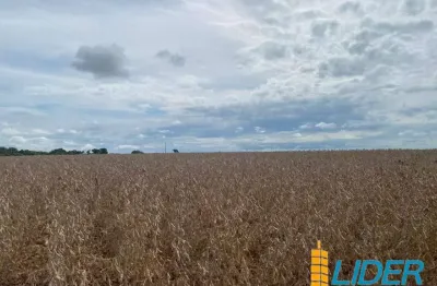 Chácara / sítio à venda na Zona Rural, Zona Rural, Paraúna