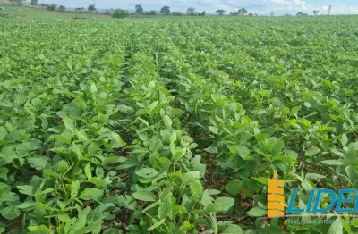 Fazenda à venda, area rural de patos de minas - mg - patos de minas/mg