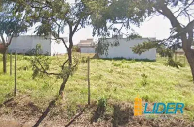 Terreno à venda na Rua Tarcila do Amaral, New Golden Ville, Uberlândia