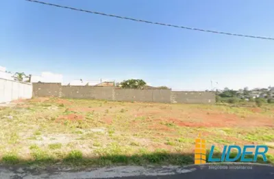 Terreno à venda na Rua Renato de Oliveira Grama, Jardim Inconfidência, Uberlândia